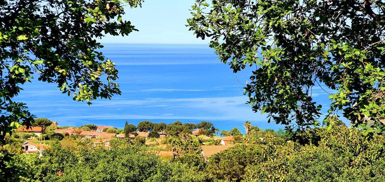 Naturamare Apartments - Piscina Idromassaggio Con Vista Mare Aperta Fino Alle Ore 22-00 Капо-Ватикано Экстерьер фото